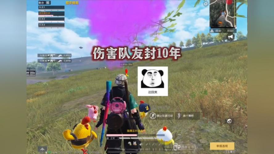 和平精英辅助【火焰鸟一体直装】人物透视 无后坐力 开枪自瞄 开车飞天 飞天跳伞 皮肤美化 物资显示 队伍信息